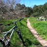 Dirtrider